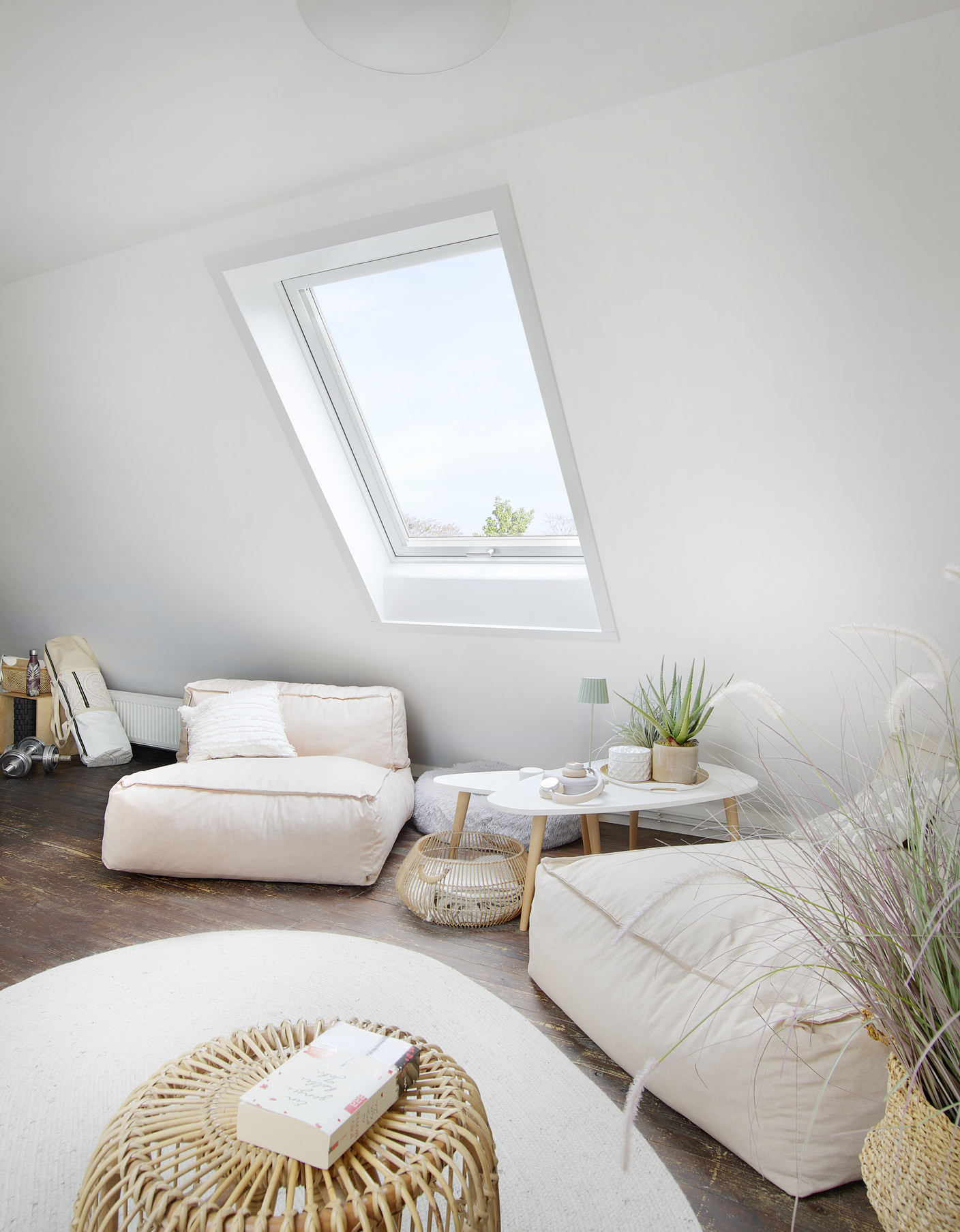 Roto Designo Klapp-Schwingfenster R8 Kunststoff Austausch Renovierung AR2-840769M Fenster, Pflanze, Drinnen, Wohnzimmer, Zimmer, Fenster, Pflanze, Drinnen, Wohnzimmer, Zimmer, Fenster, Pflanze, Drinnen, Wohnzimmer, Zimmer, Fenster, Pflanze, Drinnen, Wohnzimmer, Zimmer