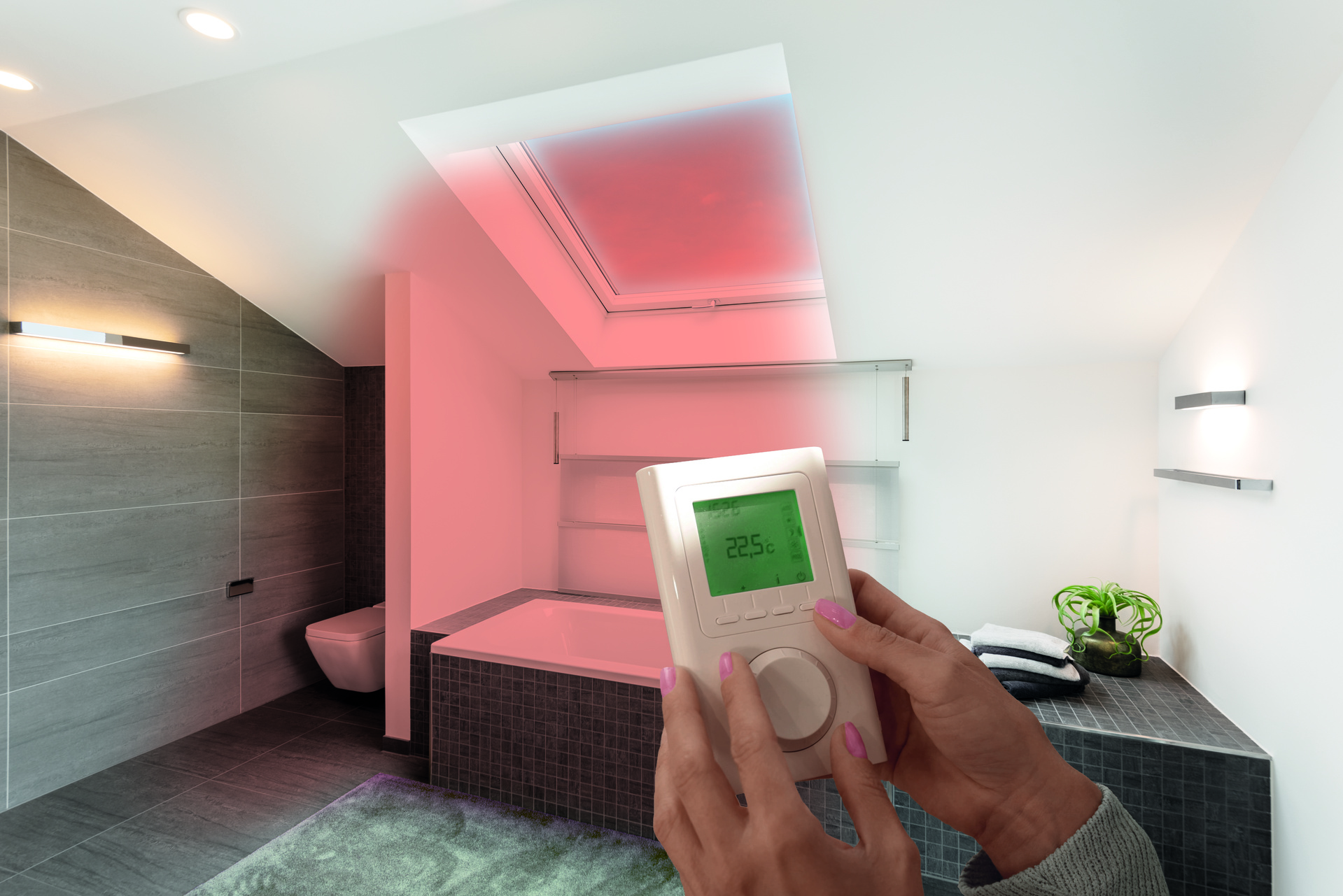 Drinnen, Innenarchitektur, Badezimmer, Zimmer, Toilette